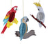 Parrots of Paradise 3pcs