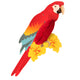 Parrots of Paradise 3pcs - paperjazz